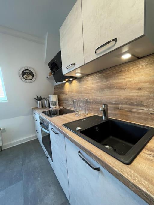 komfortable Ferienwohnung in Halle-Kröllwitz Halle  Exterior foto